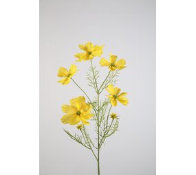 Melting Pot - Kunstbloem Cosmos Geel 5 Bloemen 77cm Melting Pot - Kunstbloem Cosmos Geel 5 Bloemen 77cm