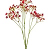 Melting Pot Kunstbloem Gypsophilia Rood 82cm Melting Pot Kunstbloem Gypsophilia Rood 82cm