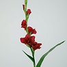 Melting Pot Kunstbloem Gladiool Bordeaux Rood 97cm Melting Pot Kunstbloem Gladiool Bordeaux Rood 97cm