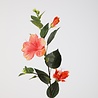 Melting Pot Kunstbloem Hibiscus Koraal/Roze 81cm Melting Pot Kunstbloem Hibiscus Koraal/Roze 81cm