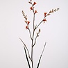 Kunstbloem Crocosmia Oranje 99cm Kunstbloem Crocosmia Oranje 99cm
