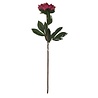 Diga Colmore Kunstbloem Pioenroos Fuchsia 68cm Diga Colmore Kunstbloem Pioenroos Fuchsia 68cm