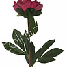 Diga Colmore Kunstbloem Pioenroos Fuchsia 68cm Diga Colmore Kunstbloem Pioenroos Fuchsia 68cm