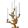 Pols Potten Kandelaar Apple Tree Gold Aluminium 53cm Pols Potten Kandelaar Apple Tree Gold Aluminium 53cm