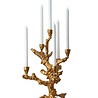 Pols Potten Kandelaar Apple Tree Gold Aluminium 33cm Pols Potten Kandelaar Apple Tree Gold Aluminium 33cm
