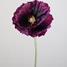 Melting Pot Kunstbloem Poppy(Klaproos) op steel purple 72cm Melting Pot Kunstbloem Poppy(Klaproos) op steel purple 72cm