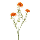 Melting Pot - Kunstbloem Ball Mum Oranje 71cm Melting Pot - Kunstbloem Ball Mum Oranje 71cm