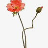 Melting Pot - Kunstbloem Klaproos 2 Takken Oranje 74cm Melting Pot - Kunstbloem Klaproos 2 Takken Oranje 74cm