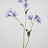 Melting Pot - Kunstbloem Campanula Blauw 9 Bloemen 77cm Melting Pot - Kunstbloem Campanula Blauw 9 Bloemen 77cm