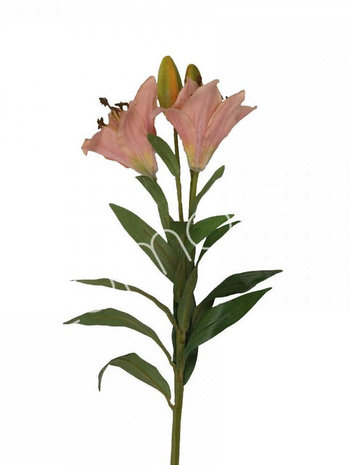 Colmore - Kunstbloem Roze Bloem Lily 88cm Colmore - Kunstbloem Roze Bloem Lily 88cm