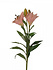 Kunstbloem Roze Bloem Lily 88cm