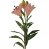 Diga Colmore Kunstbloem Roze Bloem Lily 88cm Diga Colmore Kunstbloem Roze Bloem Lily 88cm