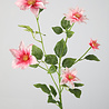 Melting Pot Kunstbloem Clematis 5 Bloemen Roze 102cm Melting Pot Kunstbloem Clematis 5 Bloemen Roze 102cm