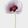 Melting Pot Kunstbloem Poppy Spray Wit lila 70cm Melting Pot Kunstbloem Poppy Spray Wit lila 70cm
