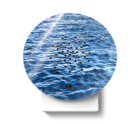 Zwitscherbox - Oceanbox met Zeegeluiden in 5 kleuren Zwitscherbox - Oceanbox met Zeegeluiden in 5 kleuren