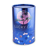 Donkey Lucky Cat / Maneki Neko Shiny Pink 15cm in luxe doos Donkey Lucky Cat / Maneki Neko Shiny Pink 15cm in luxe doos