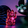 Donkey Lucky Cat / Maneki Neko Shiny Red 15cm in luxe doos Donkey Lucky Cat / Maneki Neko Shiny Red 15cm in luxe doos