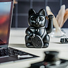 Donkey Lucky Cat / Maneki Neko Black 15cm Donkey Lucky Cat / Maneki Neko Black 15cm