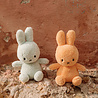 Nijntje / Miffy Nijntje Zittend Terry Licht Groen 23cm Nijntje / Miffy Nijntje Zittend Terry Licht Groen 23cm