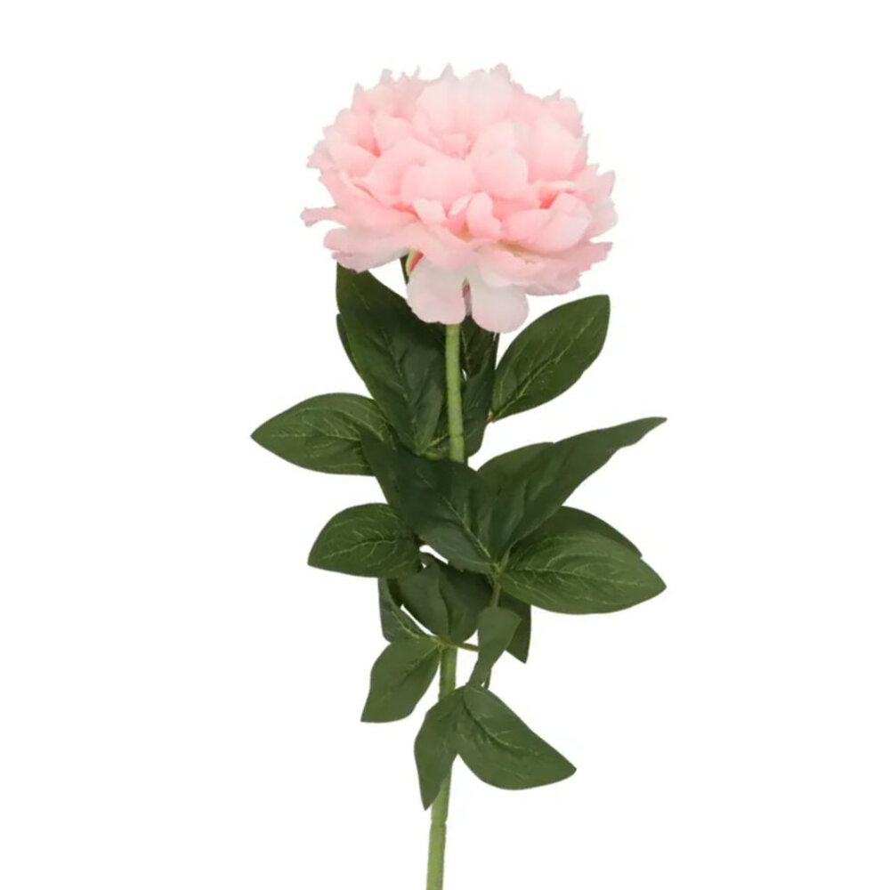 Melting Pot - Kunstbloem Pioenroos Zijde op Steel 71cm in 6 Kleuren Melting Pot - Kunstbloem Pioenroos Zijde op Steel 71cm in 6 Kleuren