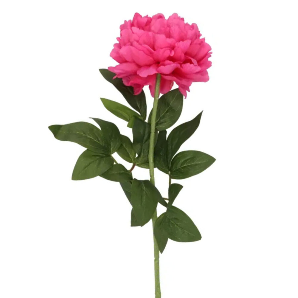 Melting Pot - Kunstbloem Pioenroos Zijde op Steel 71cm in 6 Kleuren Melting Pot - Kunstbloem Pioenroos Zijde op Steel 71cm in 6 Kleuren