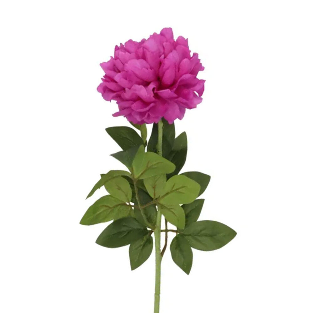 Melting Pot - Kunstbloem Pioenroos Zijde op Steel 71cm in 6 Kleuren Melting Pot - Kunstbloem Pioenroos Zijde op Steel 71cm in 6 Kleuren