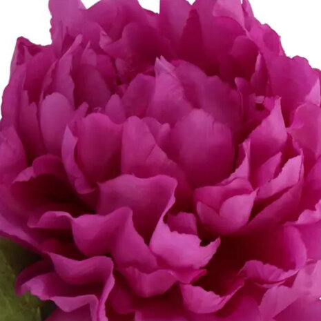 Melting Pot - Kunstbloem Pioenroos Zijde op Steel 71cm in 6 Kleuren Melting Pot - Kunstbloem Pioenroos Zijde op Steel 71cm in 6 Kleuren