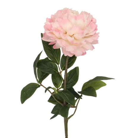 Melting Pot - Kunstbloem Pioenroos Zijde op Steel 71cm in 6 Kleuren Melting Pot - Kunstbloem Pioenroos Zijde op Steel 71cm in 6 Kleuren