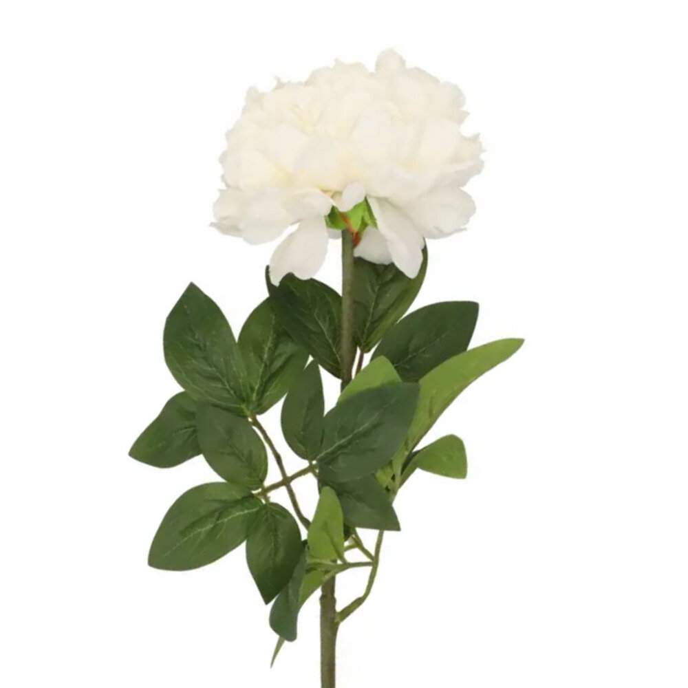 Melting Pot - Kunstbloem Pioenroos Zijde op Steel 71cm in 6 Kleuren Melting Pot - Kunstbloem Pioenroos Zijde op Steel 71cm in 6 Kleuren