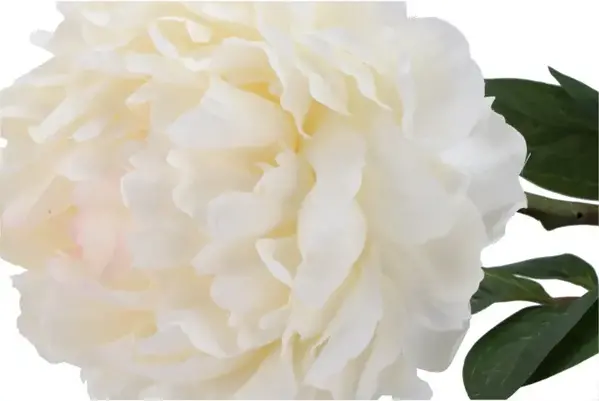 Melting Pot - Kunstbloem Pioenroos Zijde op Steel 71cm in 6 Kleuren Melting Pot - Kunstbloem Pioenroos Zijde op Steel 71cm in 6 Kleuren