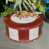 Melting Pot - Schaal met Deksel Salamander Brons Bordeaux Wit 17.5 x11.5cm Melting Pot - Schaal met Deksel Salamander Brons Bordeaux Wit 17.5 x11.5cm