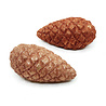 Melting Pot - Dennenappels Glitter Koper en Nude 5x10cm (set/2) Melting Pot - Dennenappels Glitter Koper en Nude 5x10cm (set/2)