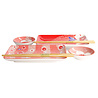 Melting Pot - Sushi Set Kawaii Flower Rood in cadeau doos Melting Pot - Sushi Set Kawaii Flower Rood in cadeau doos
