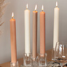 Rustik Lys - Diner Kaars Iced Apricot 3.2x30cm