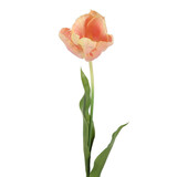 Melting Pot - Kunstbloem Tulp op Steel Peach Mix 70cm