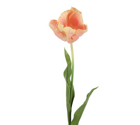 Melting Pot - Kunstbloem Tulp op Steel Peach Mix 70cm Melting Pot - Kunstbloem Tulp op Steel Peach Mix 70cm
