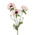 Kunstbloem Anemoon Roze/Creme 3 Bloemen op steel 75cm Kunstbloem Anemoon Roze/Creme 3 Bloemen op steel 75cm