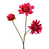 Kunstbloem Dahlia Beauty Rood 3 Bloemen op tak 65cm