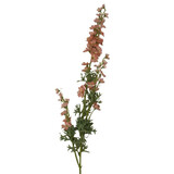 Melting Pot - Kunstbloem Delphinium Peach 82cm Ridderspoor Melting Pot - Kunstbloem Delphinium Peach 82cm Ridderspoor