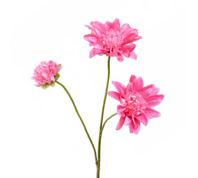 Melting Pot - Kunstbloem Dahlia Beauty Roze 3 Bloemen op tak 65cm Melting Pot - Kunstbloem Dahlia Beauty Roze 3 Bloemen op tak 65cm