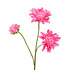 Kunstbloem Dahlia Beauty Roze 3 Bloemen op tak 65cm