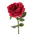 Kunstbloem Engelse Roos Rood op Steel 60cm