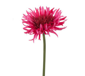Melting Pot - Kunstbloem Chrysant Fuchsia op steel 52cm Melting Pot - Kunstbloem Chrysant Fuchsia op steel 52cm