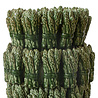 Melting Pot - Vaas Asperges Groen Keramiek – Handgemaakte Design Bloemenvaas 28x36cm