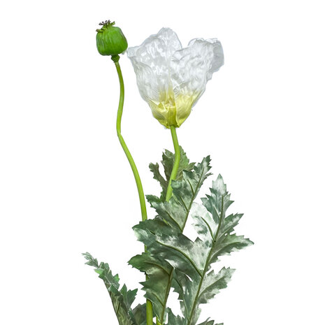 Melting Pot - Kunstbloem Poppy Spray (Klaproos) Cream 102cm