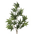Kunstbloem Maple Leaf Groen Tak 88cm Kunstbloem Maple Leaf Groen Tak 88cm