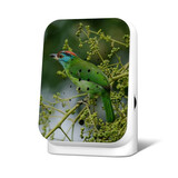 Zwitscherbox - Junglebox Blauwkeelbaardvogel - Limited Edition Zwitscherbox - Junglebox Blauwkeelbaardvogel - Limited Edition