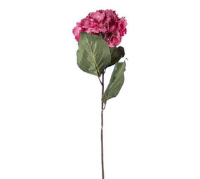 Melting Pot - Kunstbloem Hortensia Bordeaux Tak 72cm Melting Pot - Kunstbloem Hortensia Bordeaux Tak 72cm