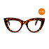 Leesbril CLAUDIA Cat-Eye Havana Classic OK023CH Leesbril CLAUDIA Cat-Eye Havana Classic OK023CH