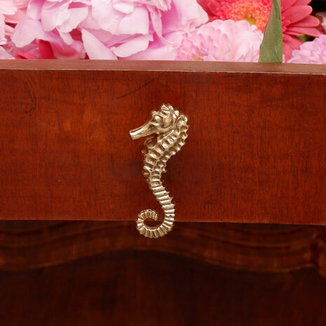 Doing Goods - Ladeknop Pippa Seahorse Messing 3x7cm rechts
